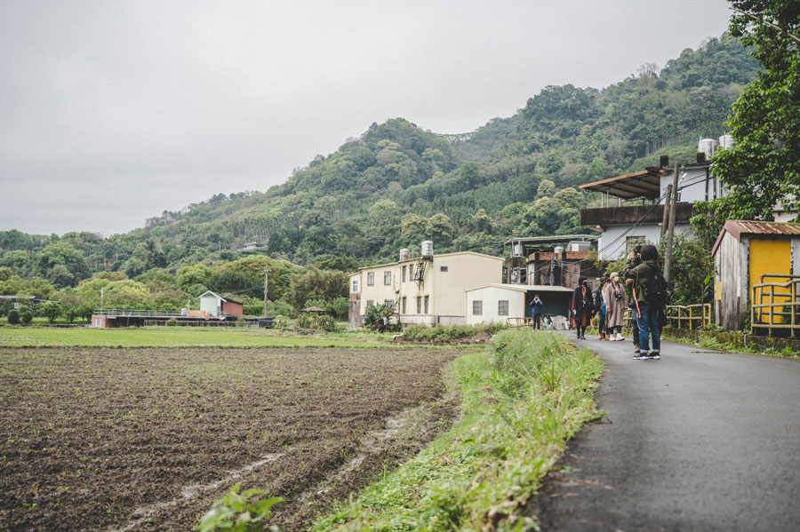 Walking at a leisurely pace on a country road in Ruanqiao Township