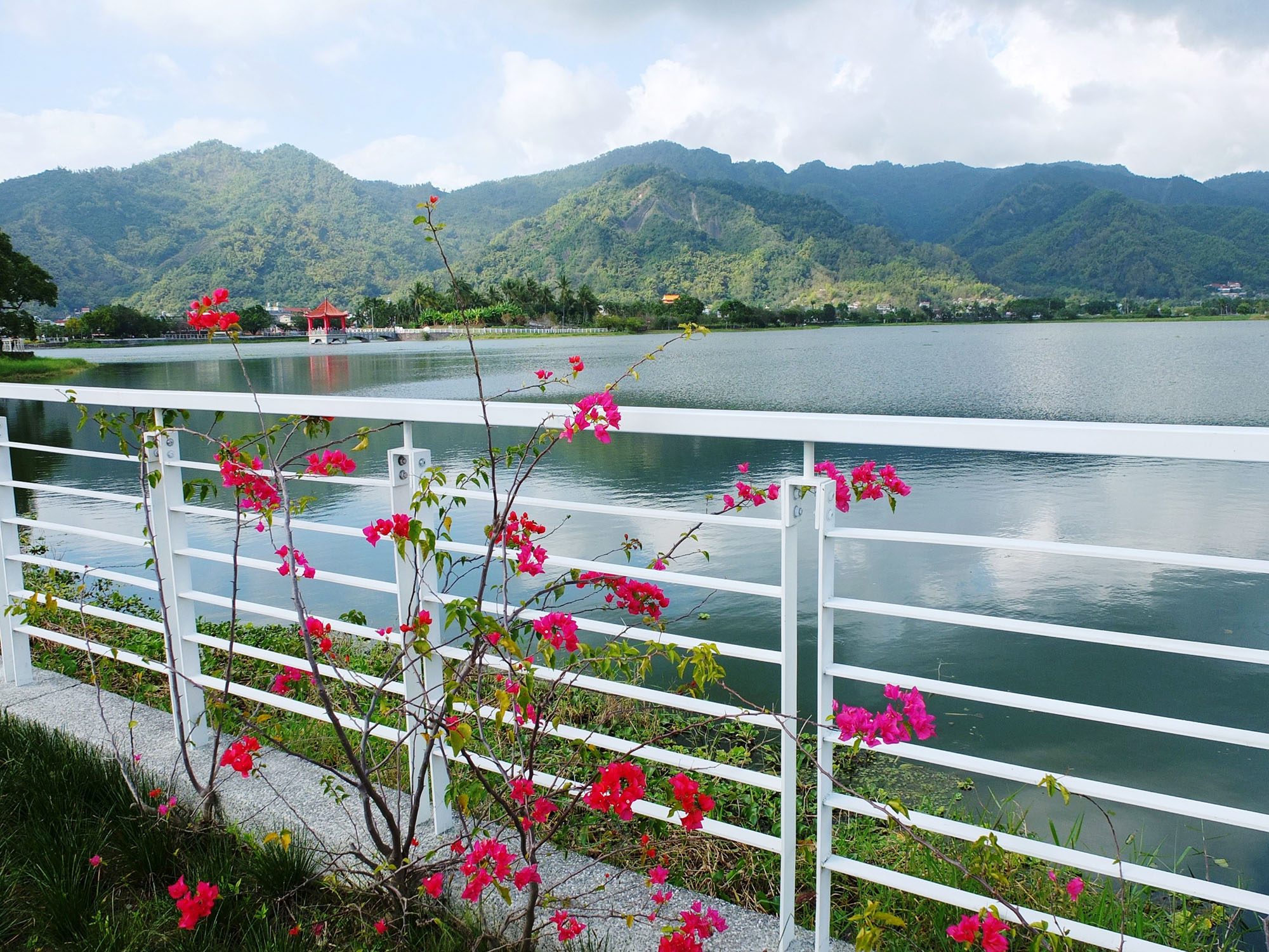 純白の欄干と鮮やかな花が湖畔で小さな景色を作り出しています