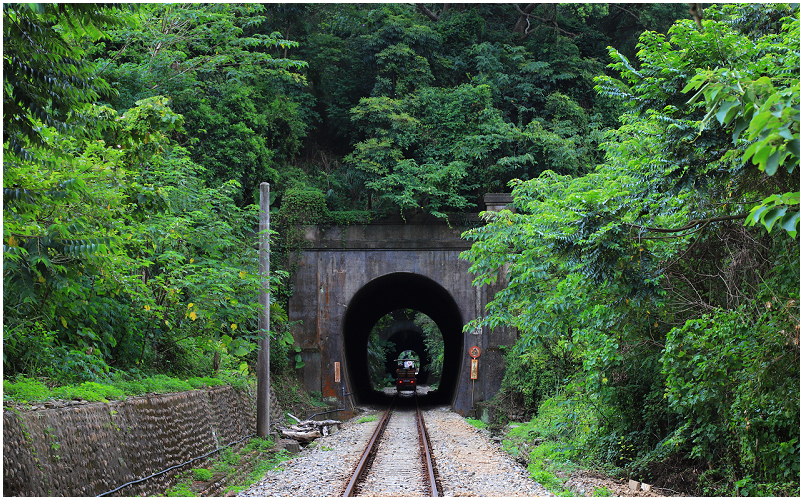 The beautifully connected tunnels and lush greenery