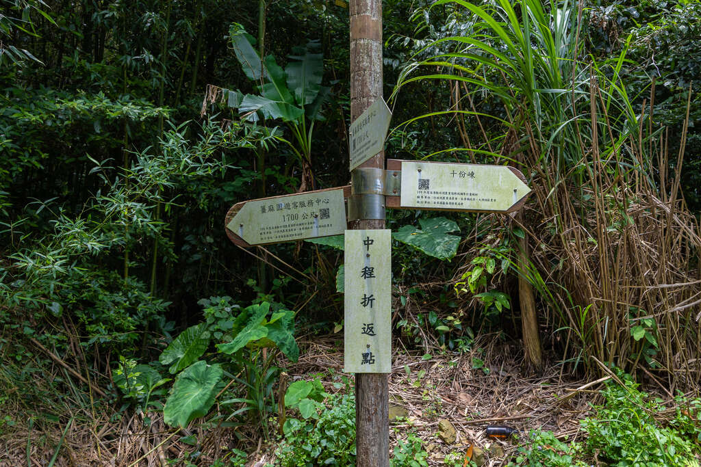 Chuguan Ancient Trail