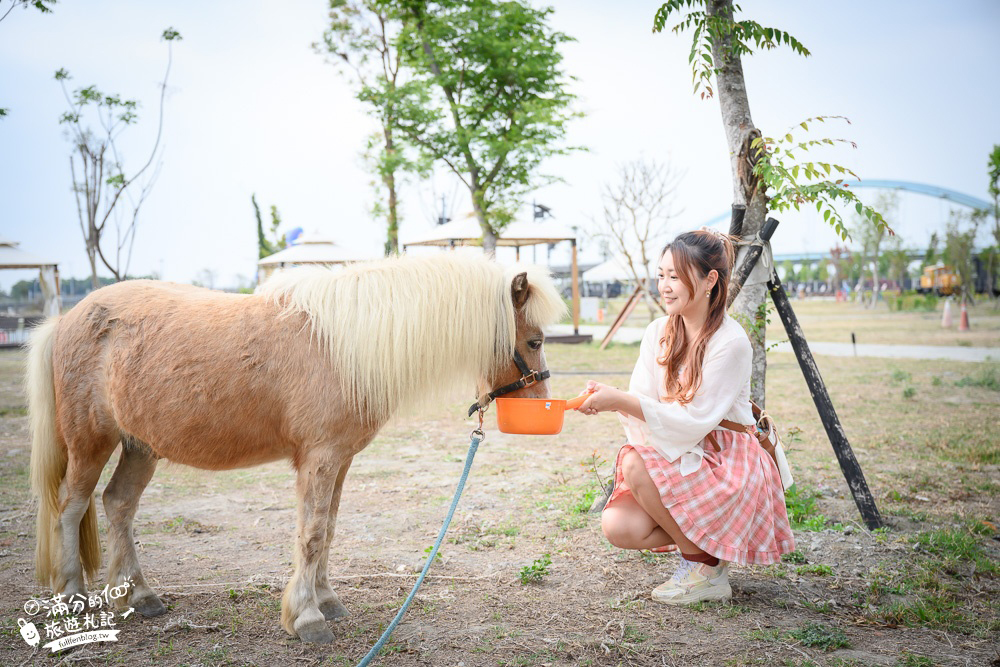 潮州鐵道園區 餵食迷你馬