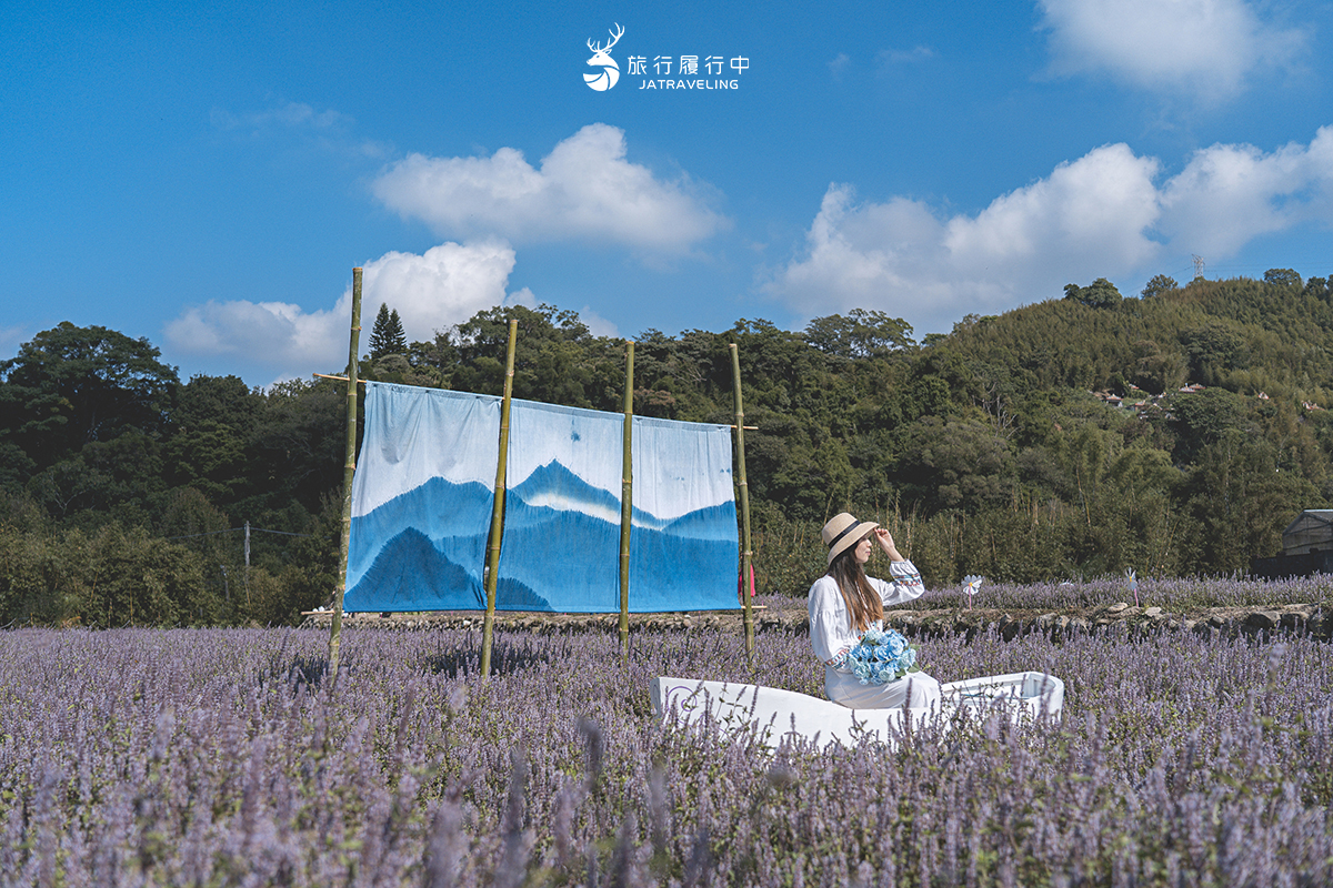 獅潭の仙草花フェスティバル 風景