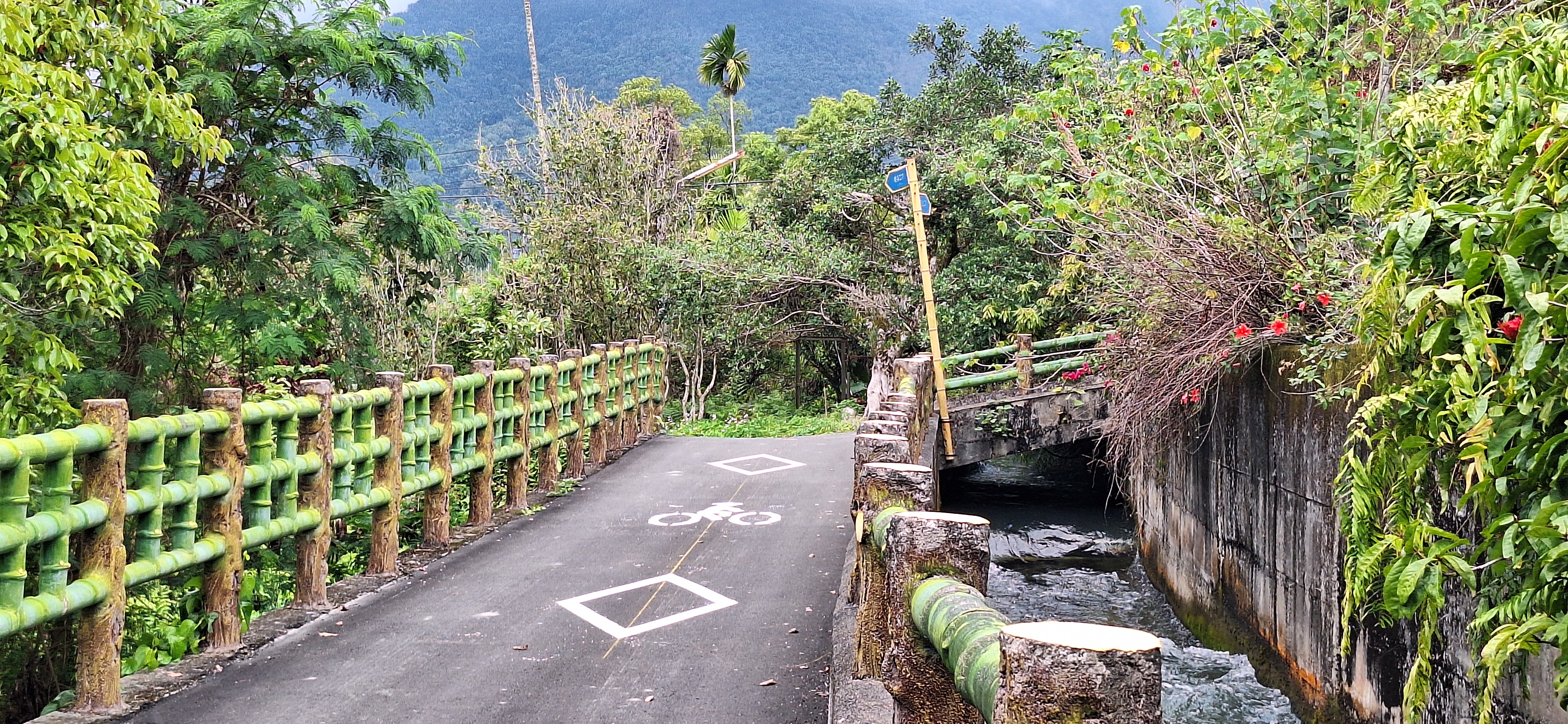 花蓮縣瑞穗鄉桐花步道