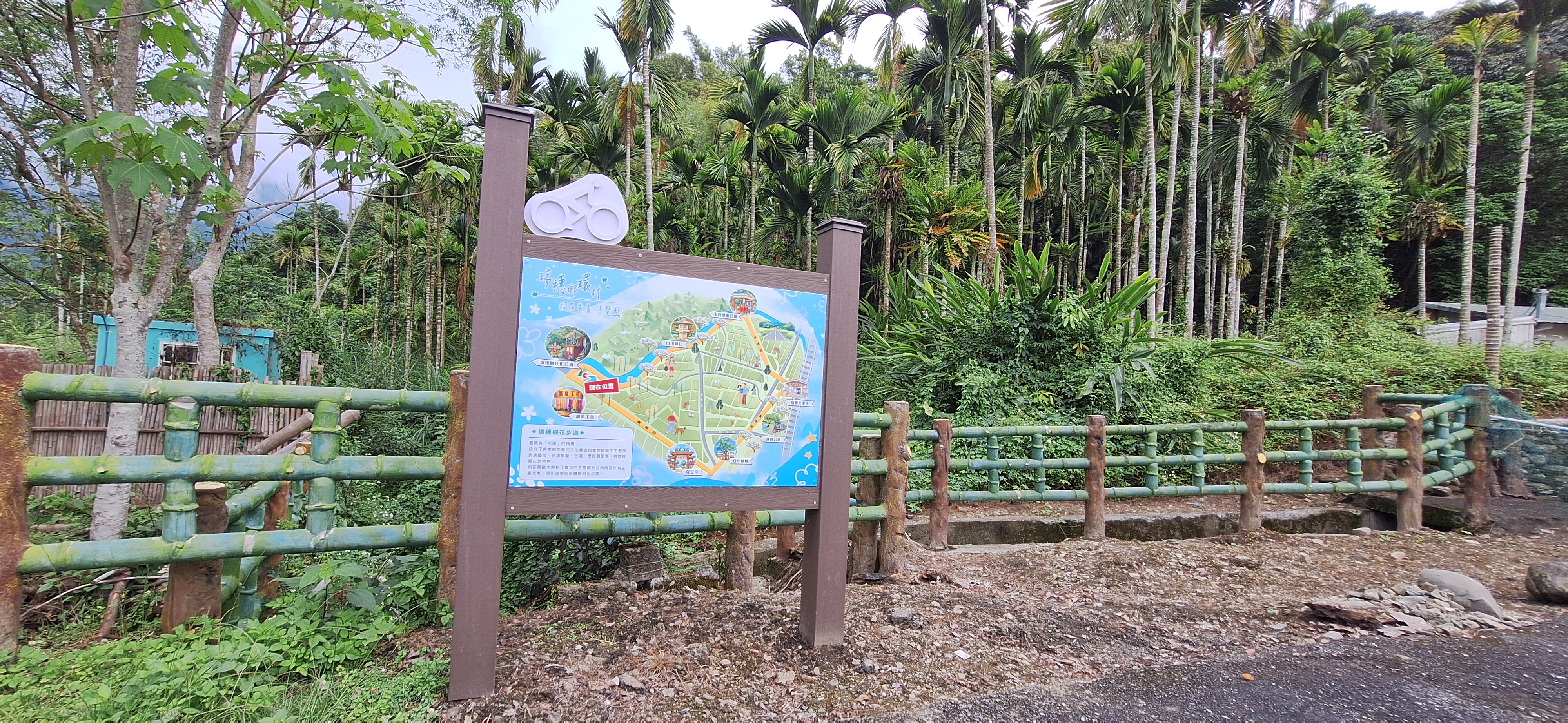 花蓮縣瑞穗鄉桐花步道