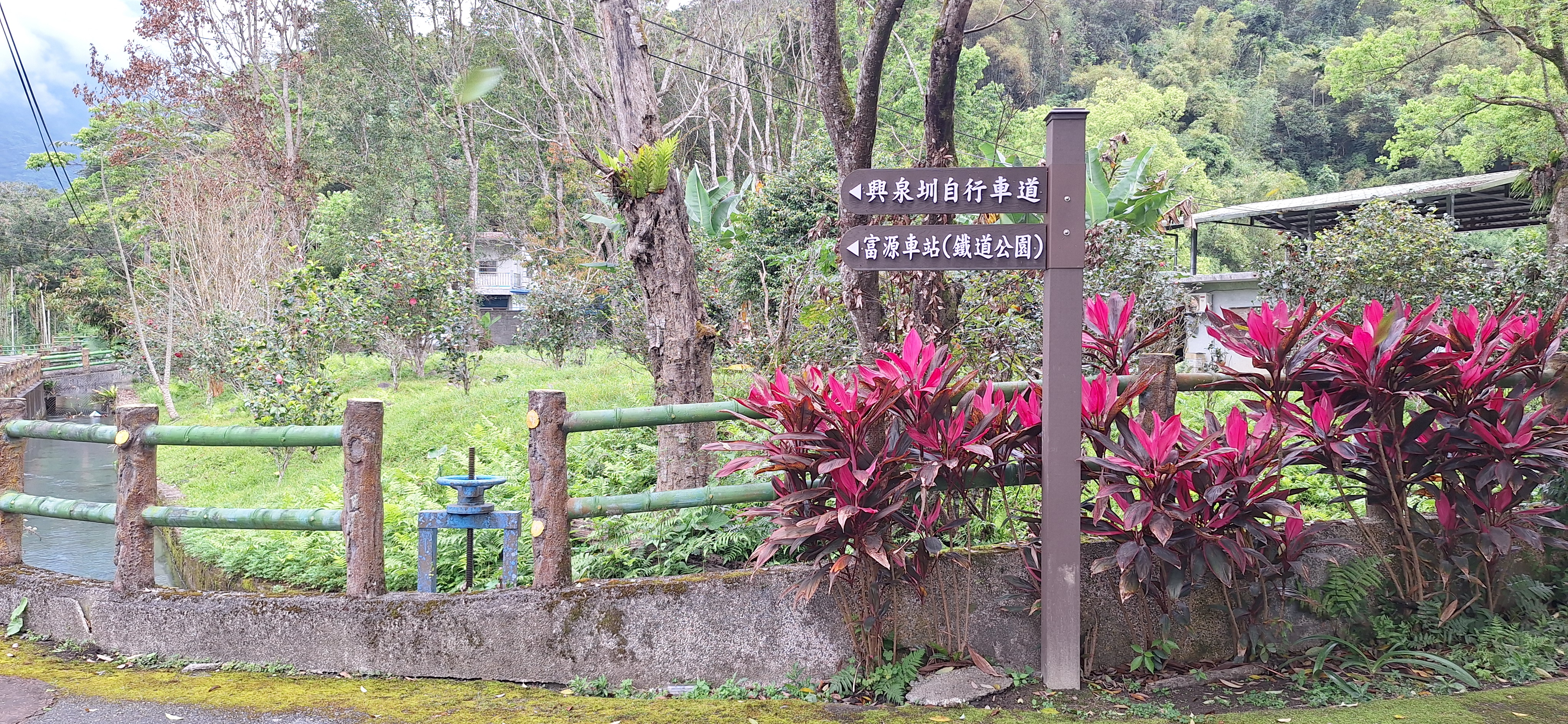 花蓮縣瑞穗鄉桐花步道
