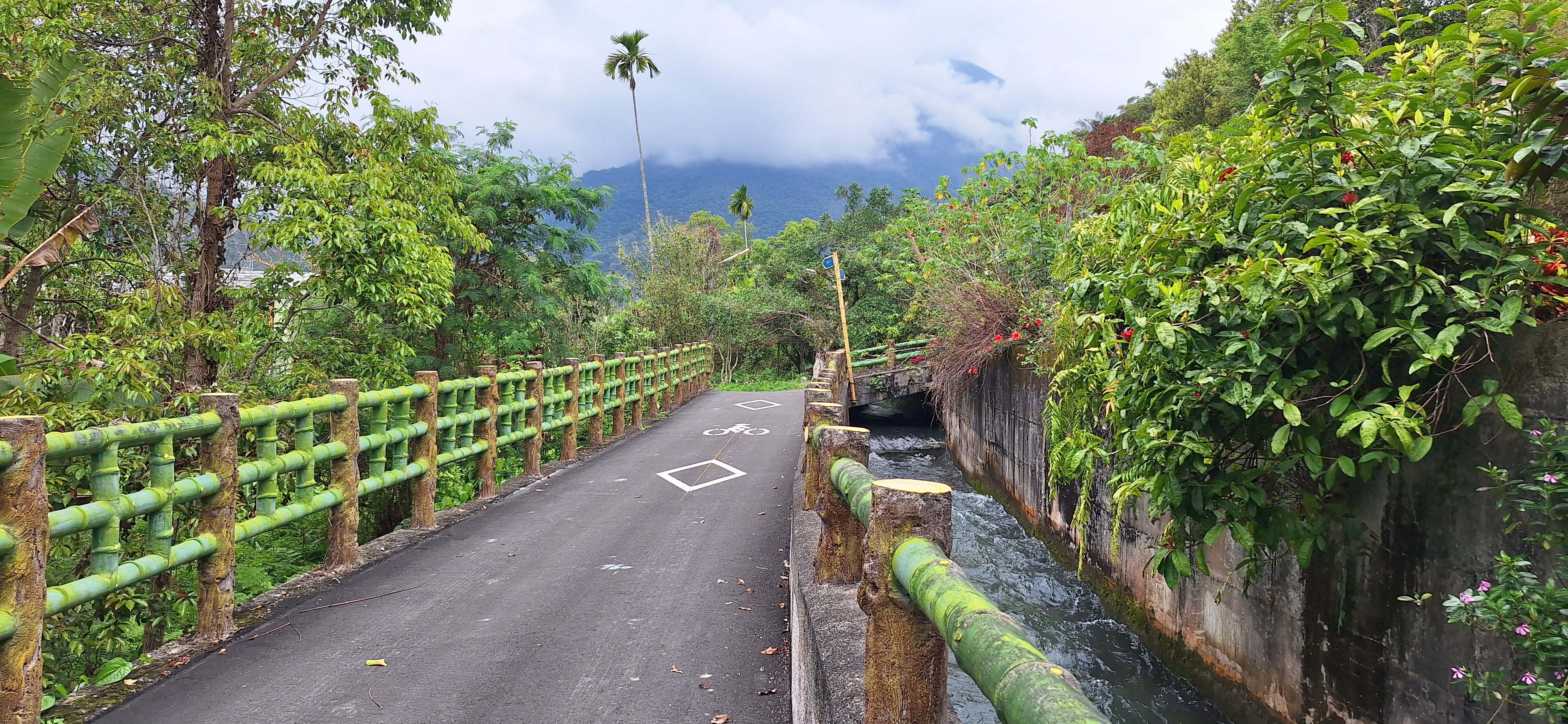 花蓮縣瑞穗鄉桐花步道