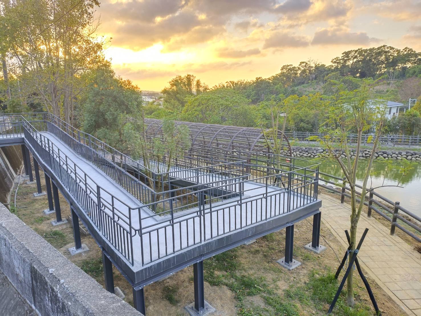 鹿廚坑繞山花賞桐步道