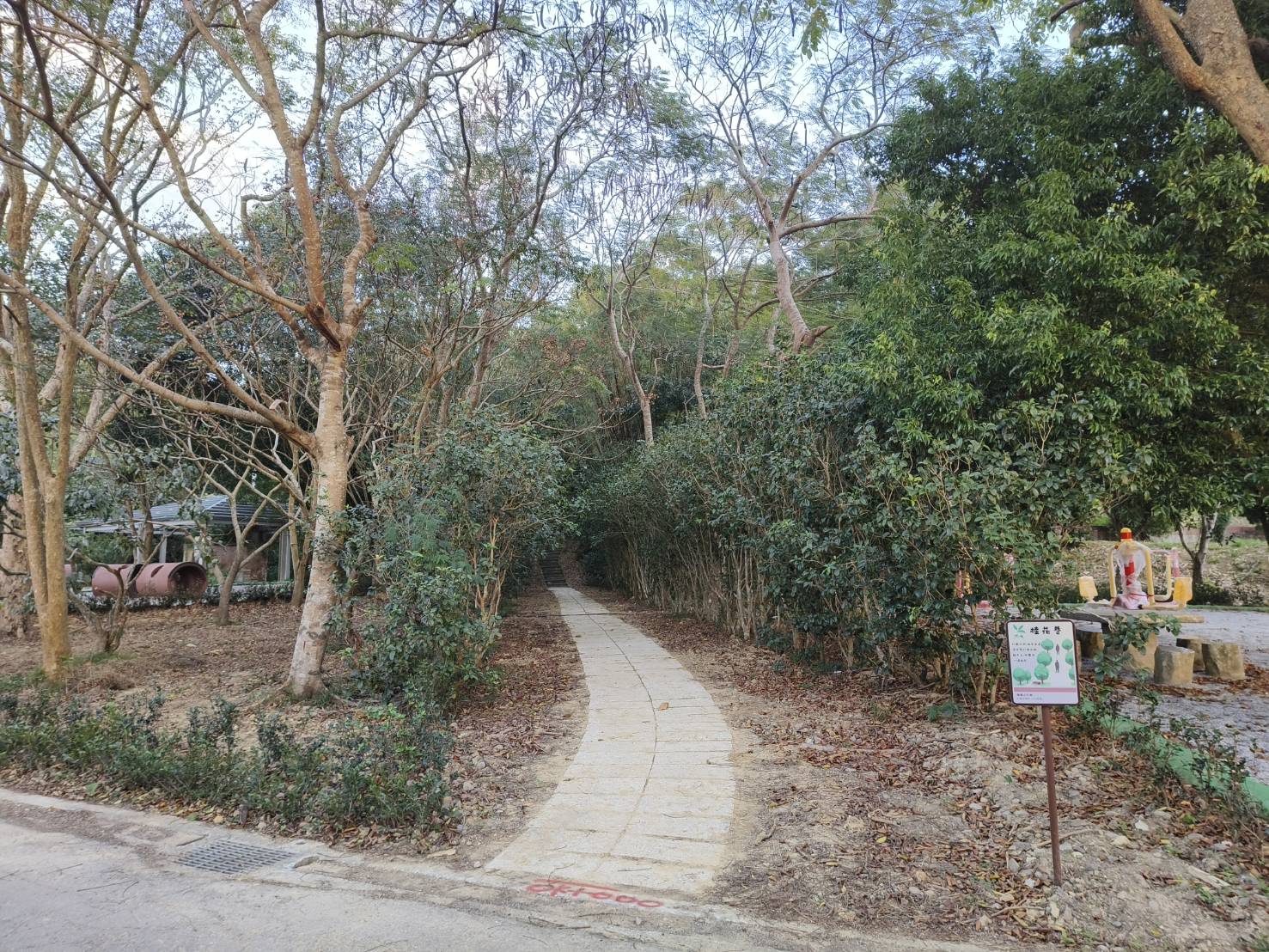 鹿廚坑繞山花賞桐步道