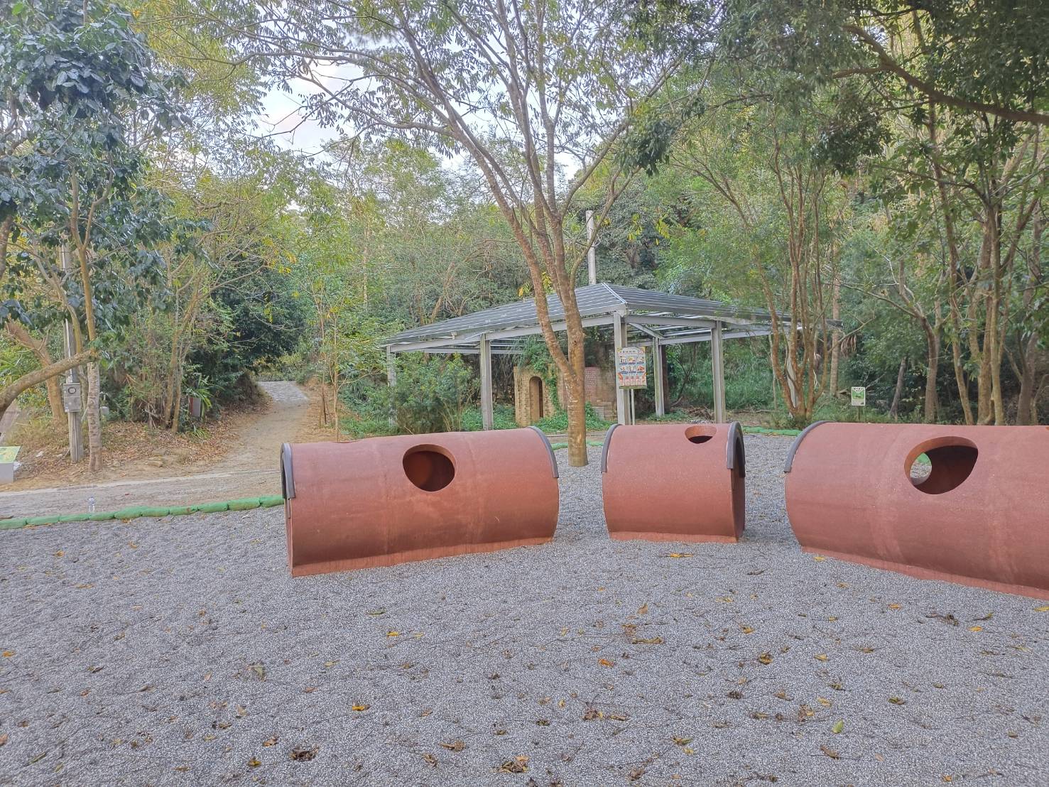 鹿廚坑繞山花賞桐步道