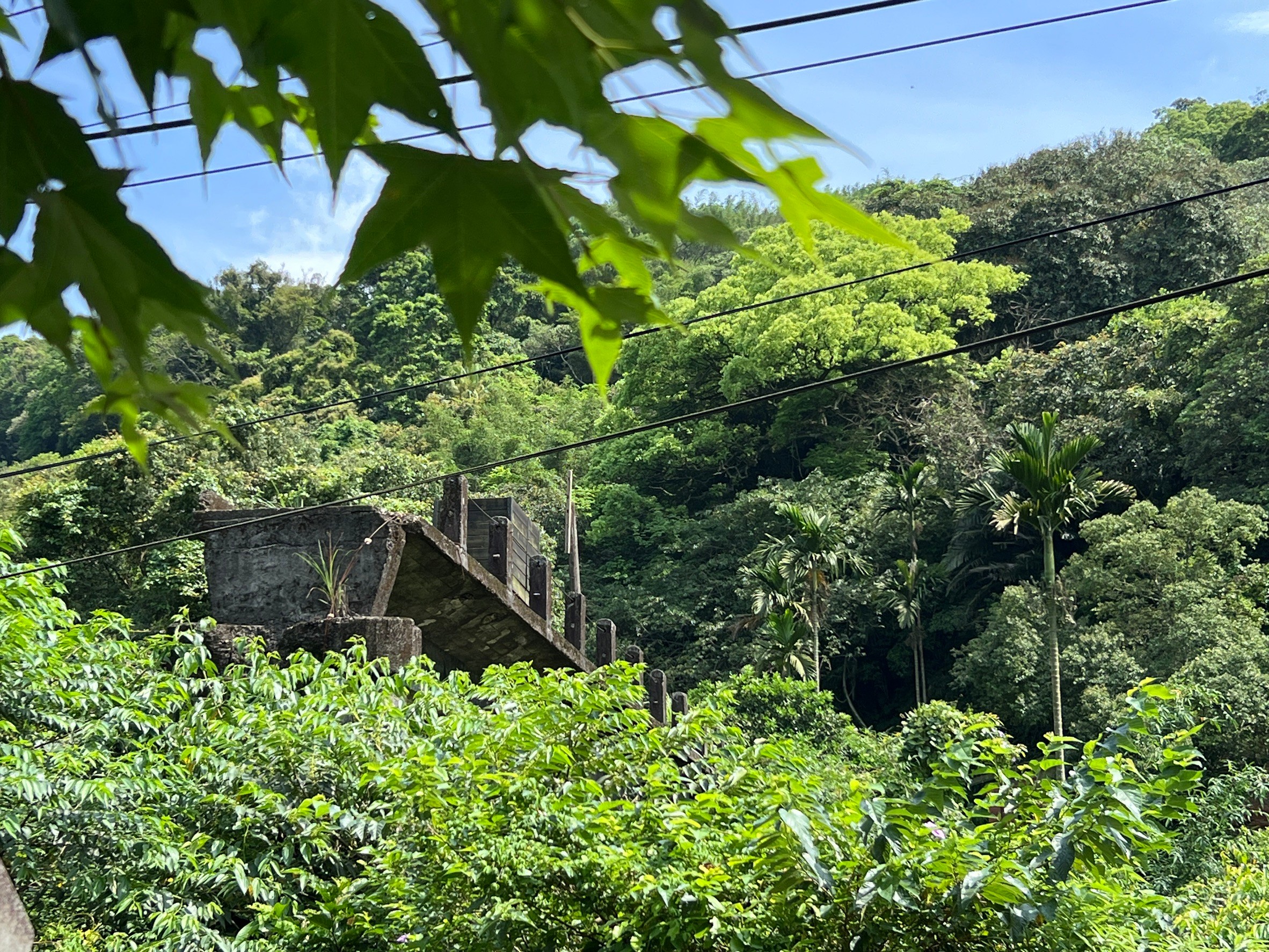 基隆桐花小旅行-福海煤礦斷橋遺址