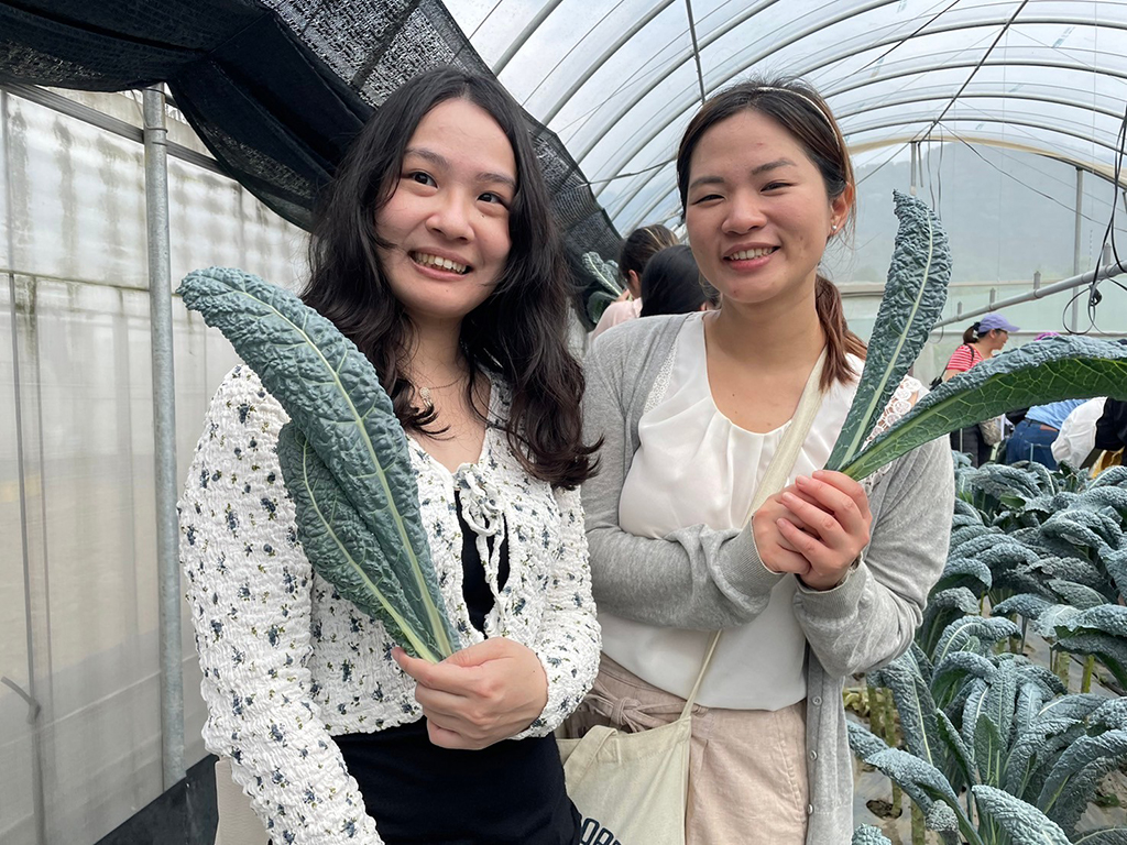 農場蔬菜採摘體驗