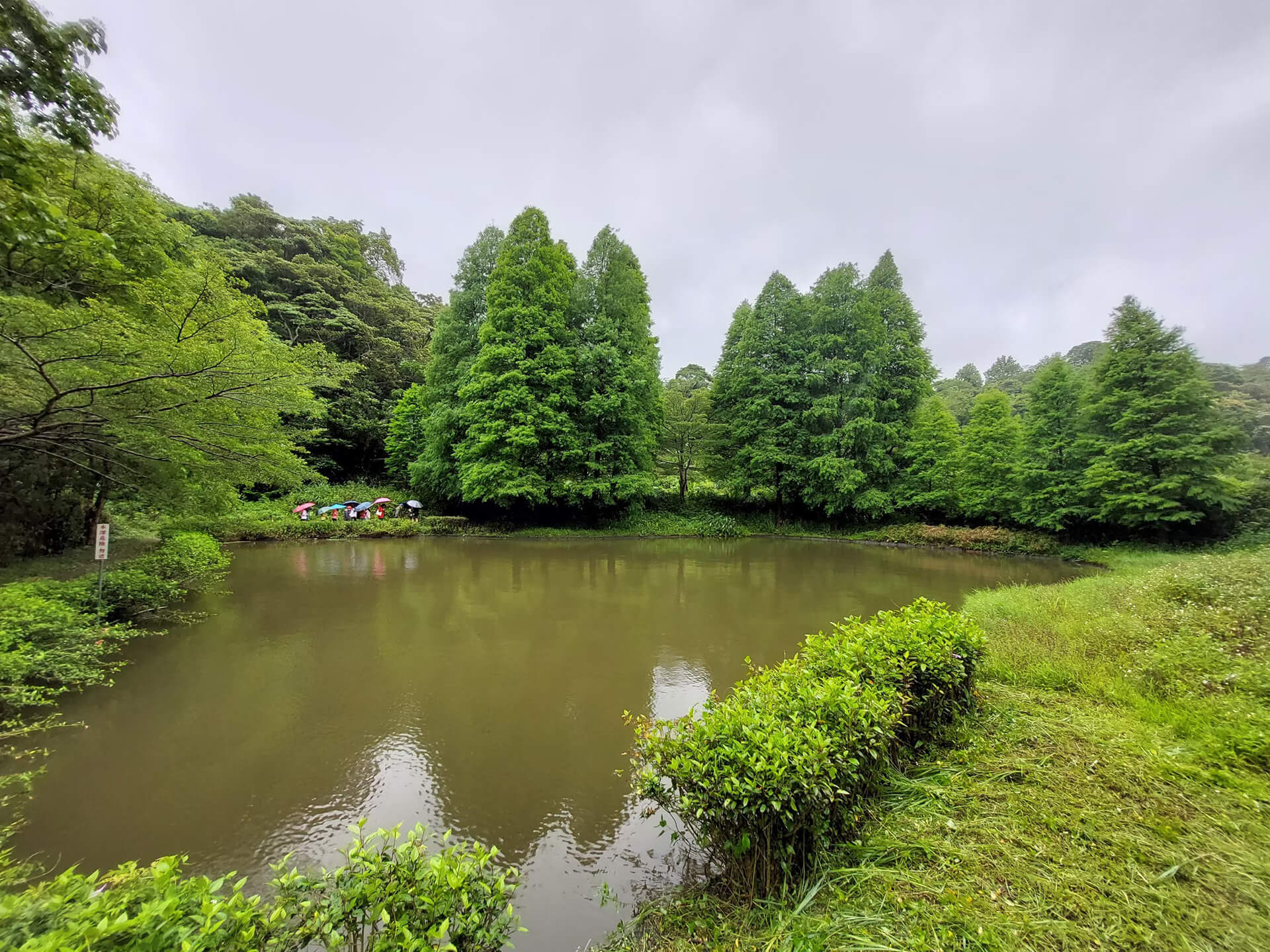 濕地農場