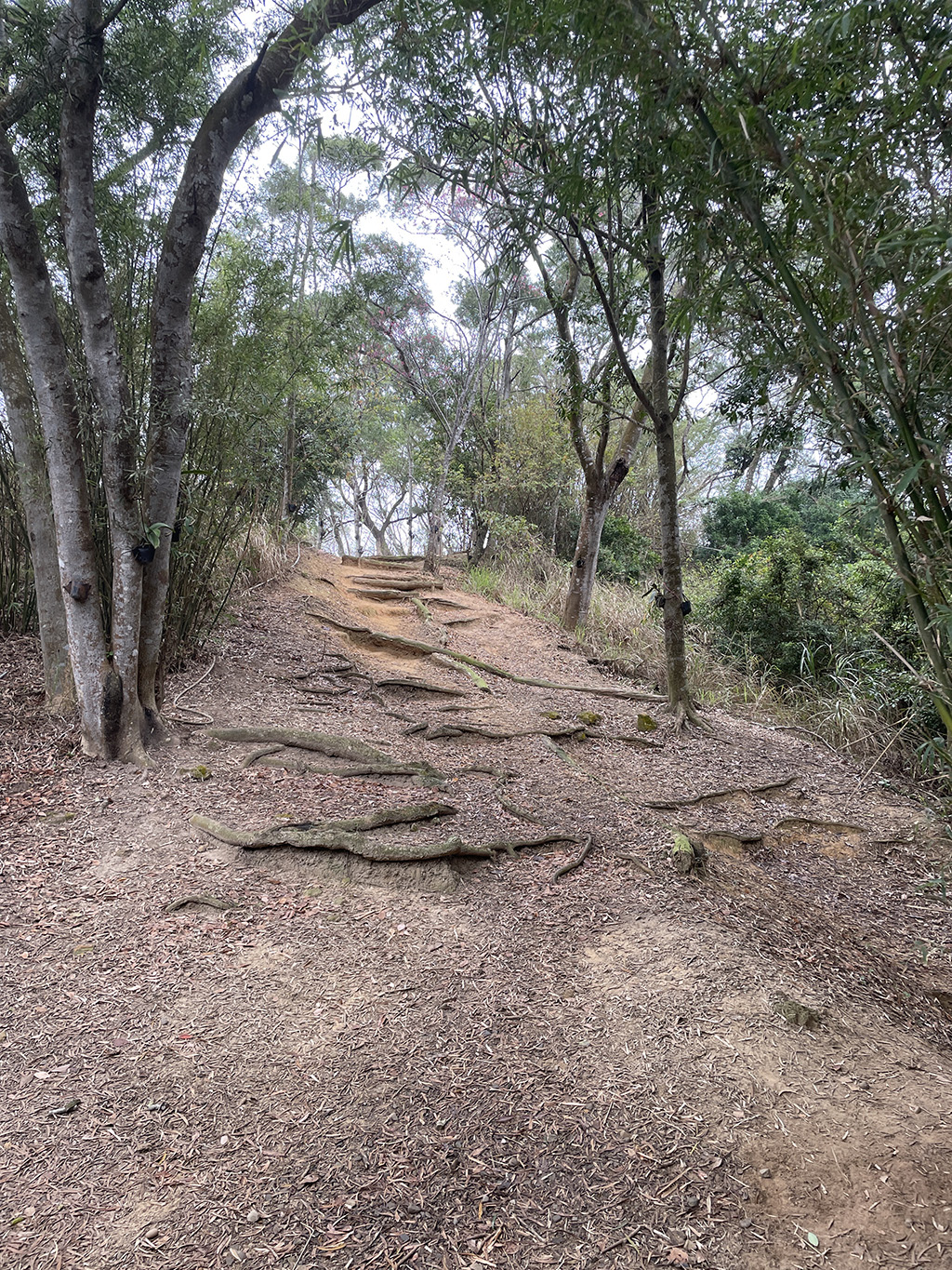 口山步道一隅