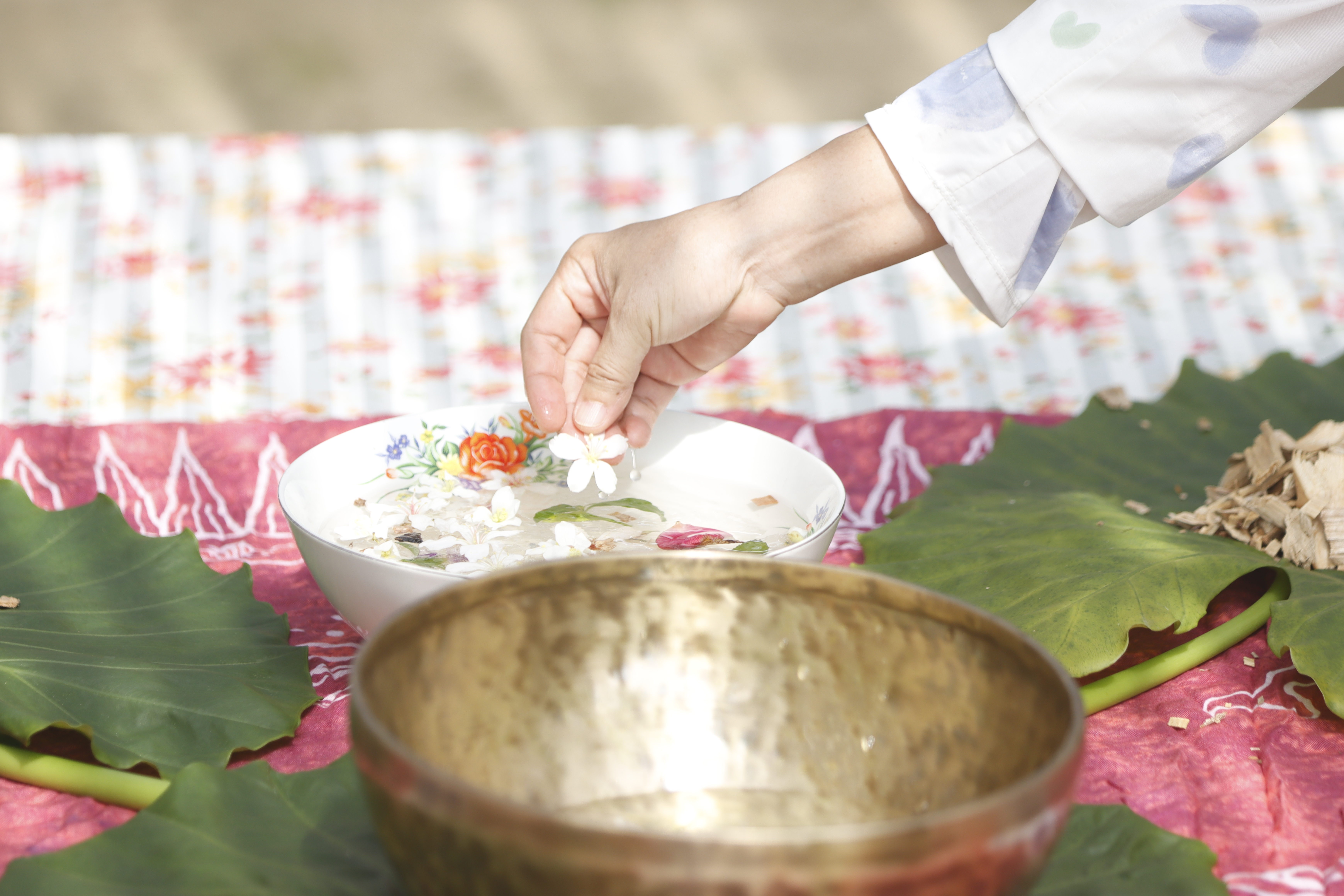 森林療癒舞桐花-2