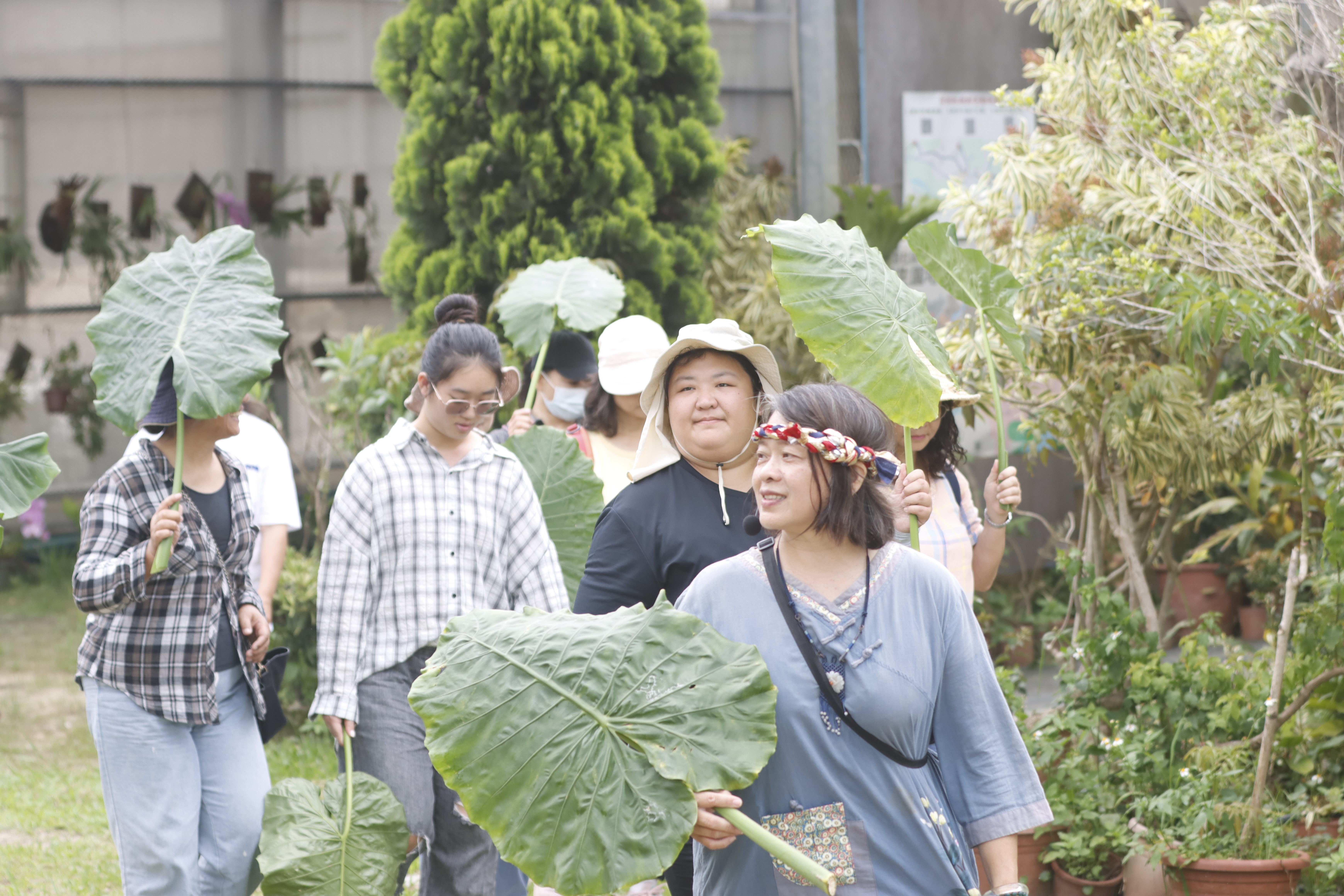 森林療癒舞桐花-5