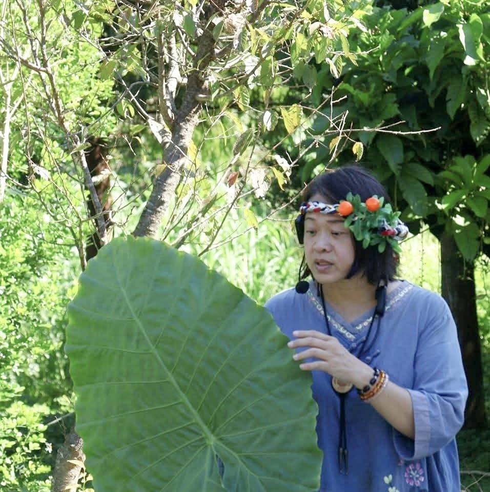 森林療癒舞桐花-7