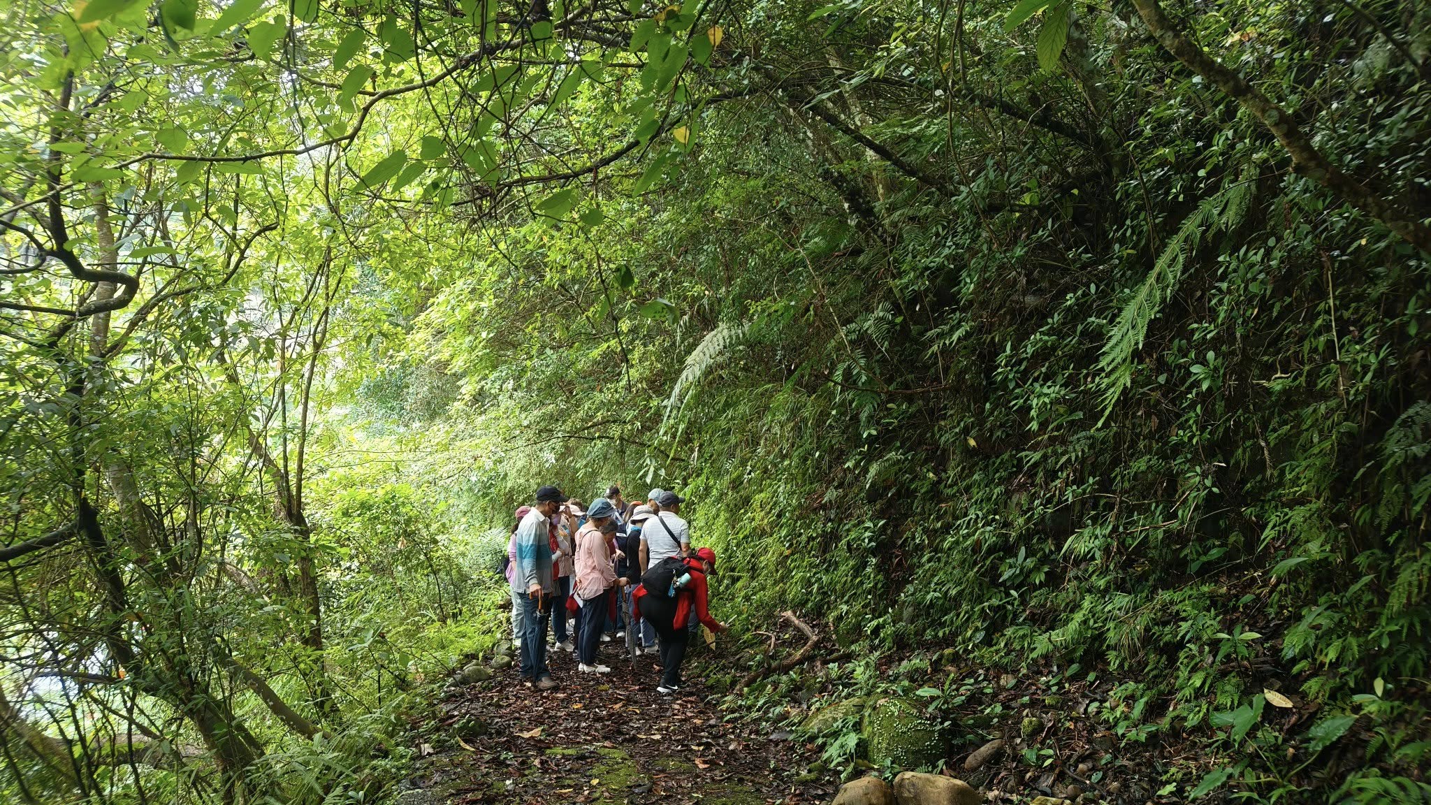 流螢踏雪尋梅-2