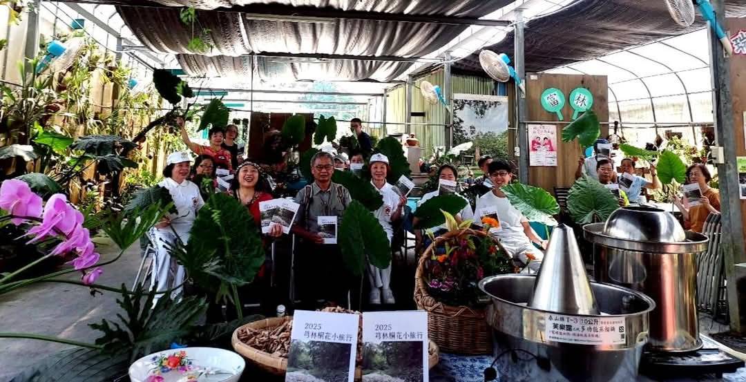 桐花下的梅好滋味-9