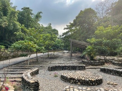 桐花林廣場(公園)