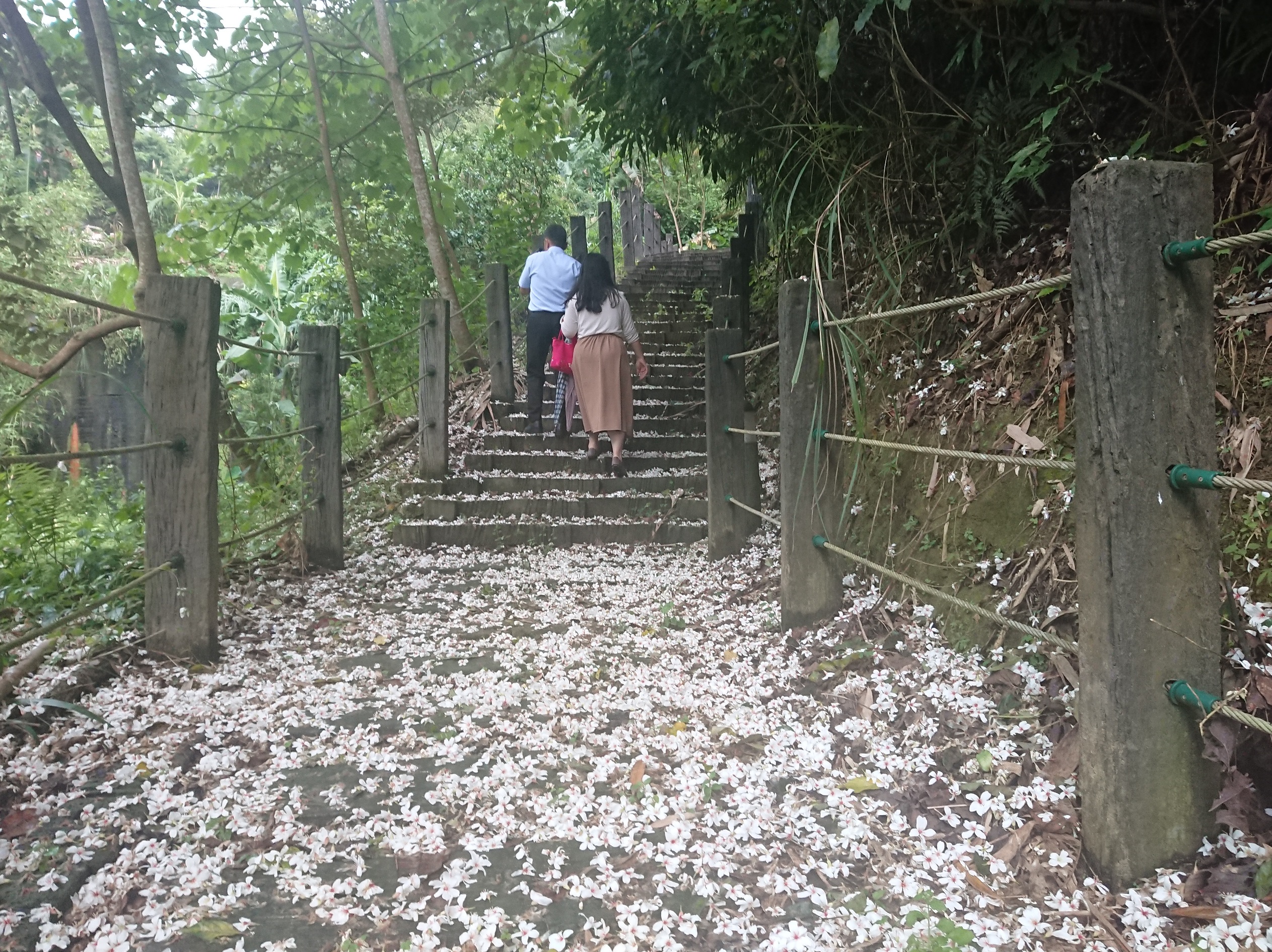 萬福生態公園步道