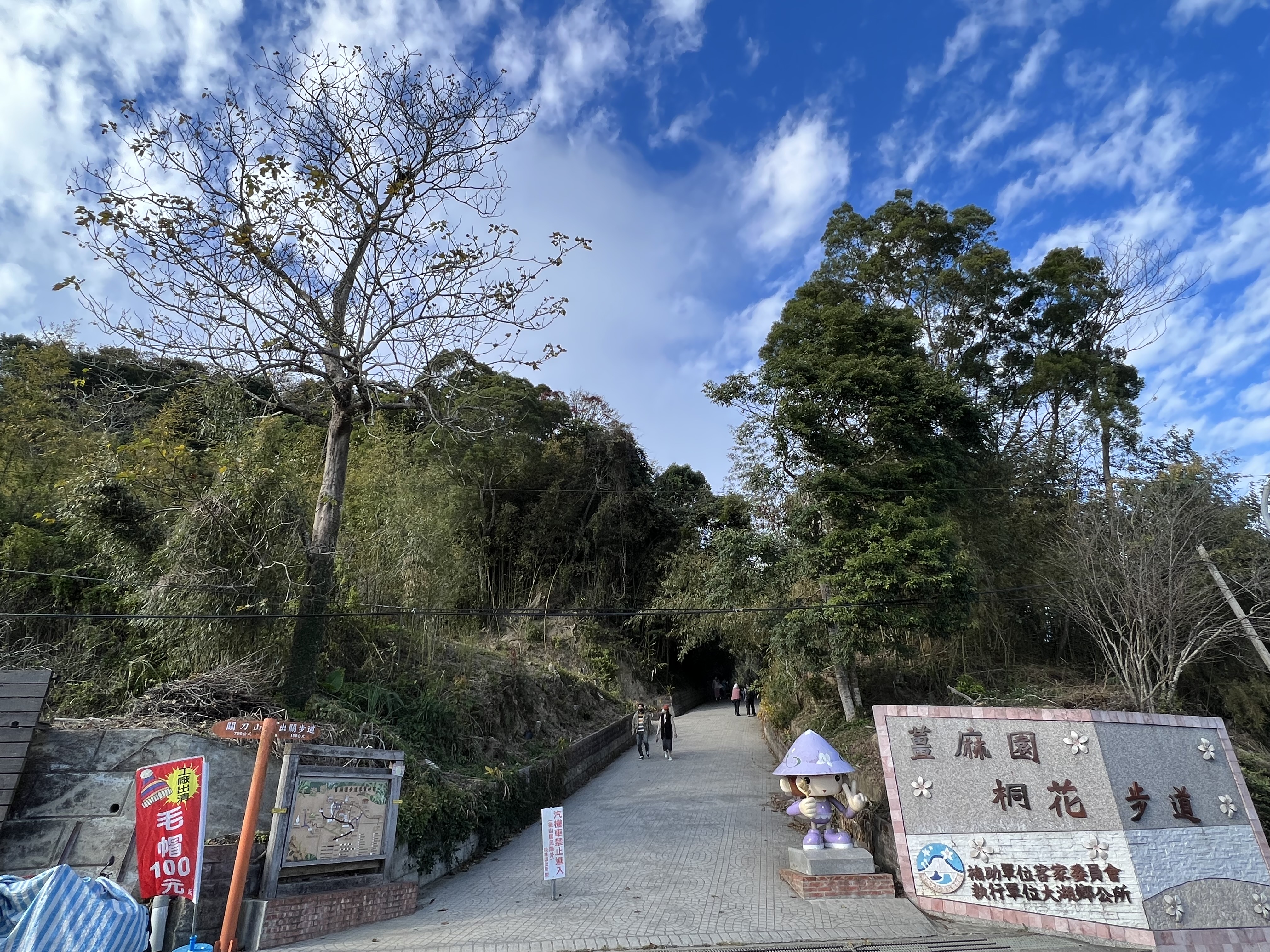 薑麻園桐花步道入口