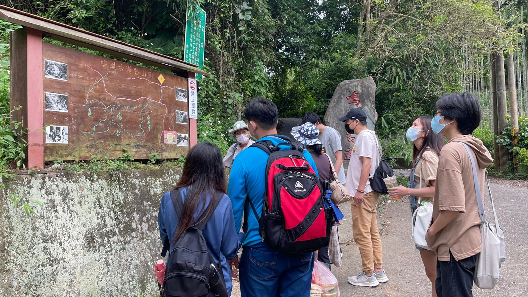 鳴鳳古道桐花小旅行