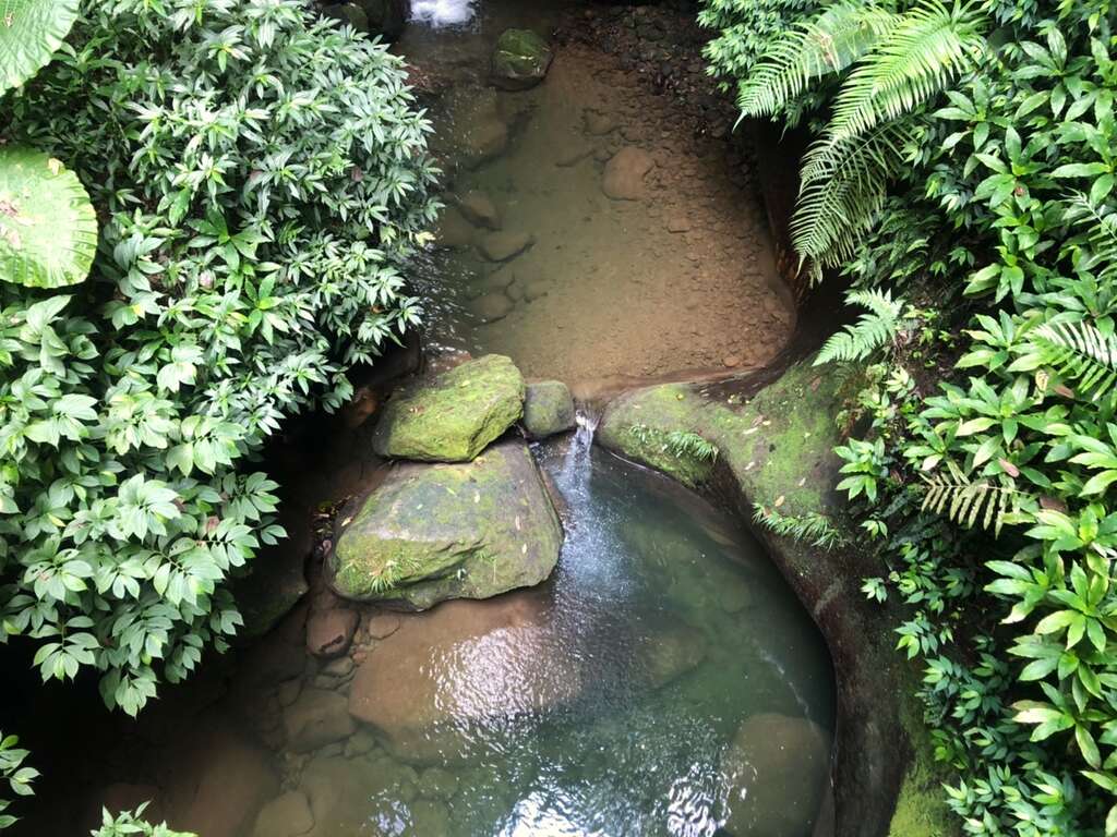巨大壺穴景觀