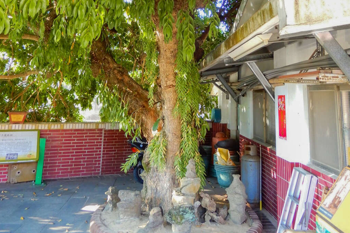 馬偕(マッケイ)抜歯場所 (写真出典:彭宏源老師)