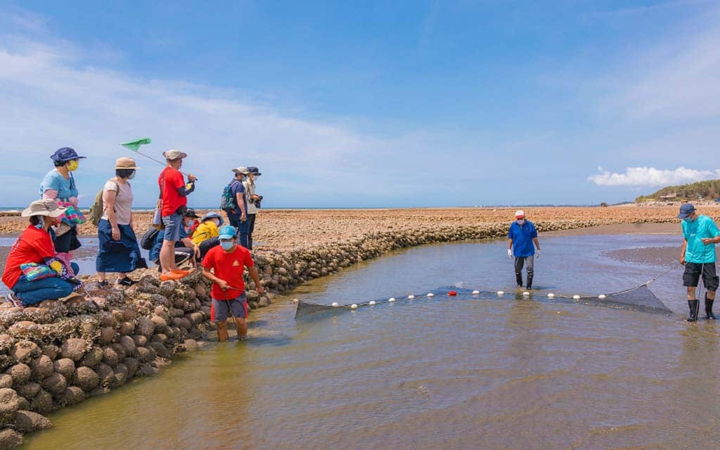 Oyster harvesting at the stone weirs in Kejian