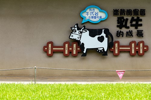 千巧谷牛樂園牧場