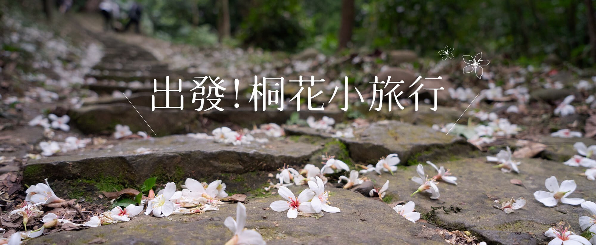 2025-03-24出發~桐花小旅行