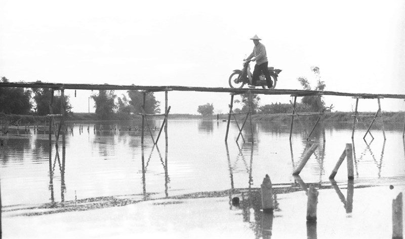 河水上的竹橋