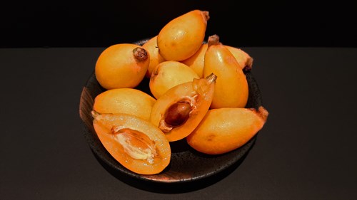 枇杷